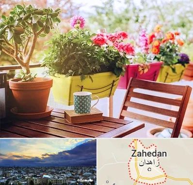 گیاه آپارتمانی در زاهدان