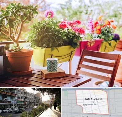 گیاه آپارتمانی در خیابان جمالزاده