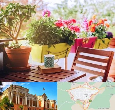 گیاه آپارتمانی در خوی