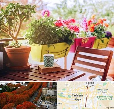 گیاه آپارتمانی در ولیعصر 