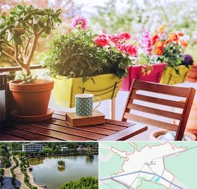 گیاه آپارتمانی در لنگرود