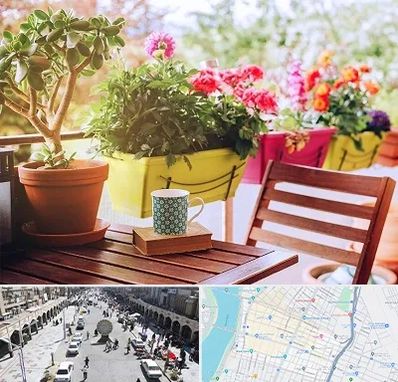 گیاه آپارتمانی در نادری اهواز