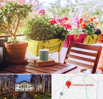 گیاه آپارتمانی در باغ فردوس