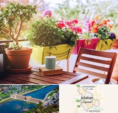 گیاه آپارتمانی در اصفهان