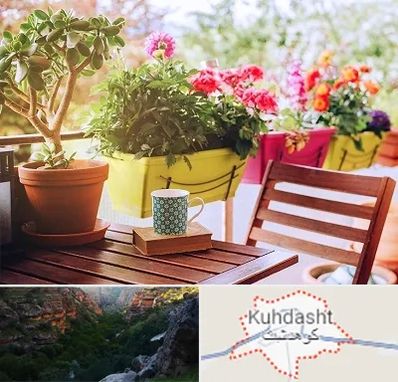 گیاه آپارتمانی در کوهدشت