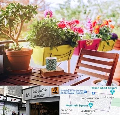 گیاه آپارتمانی در منیریه 