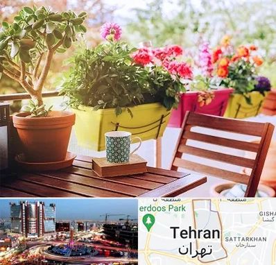 گیاه آپارتمانی در صادقیه 