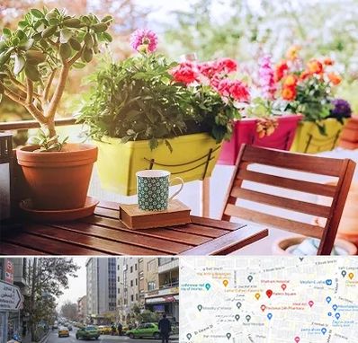 گیاه آپارتمانی در فاطمی 