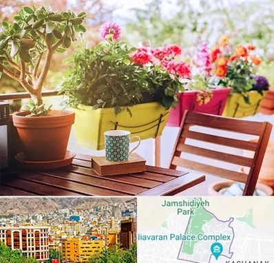 گیاه آپارتمانی در نیاوران 