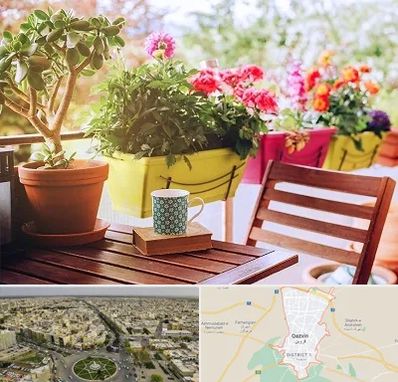 گیاه آپارتمانی در قزوین