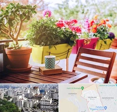 گیاه آپارتمانی در ولنجک 