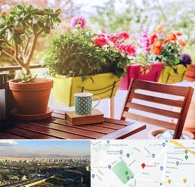 گیاه آپارتمانی در هنگام 