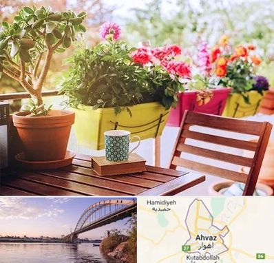 گیاه آپارتمانی در اهواز