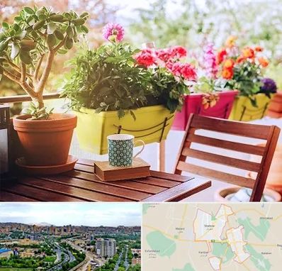 گیاه آپارتمانی در شهریار