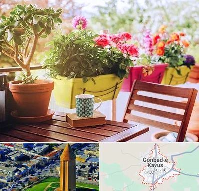 گیاه آپارتمانی در گنبد کاووس
