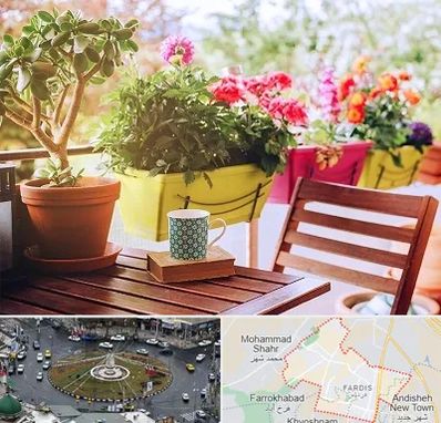 گیاه آپارتمانی در فردیس کرج 