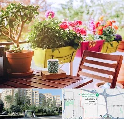 گیاه آپارتمانی در آپادانا