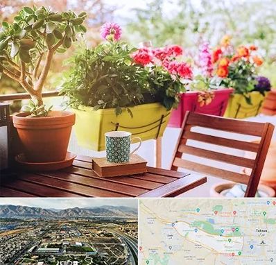 گیاه آپارتمانی در منطقه 21 تهران 