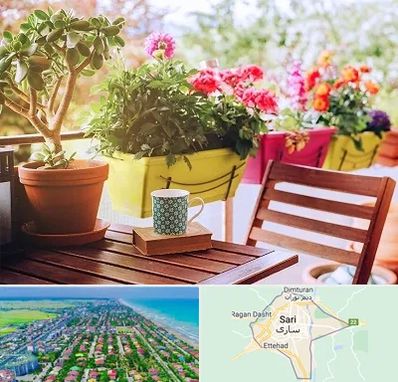 گیاه آپارتمانی در ساری