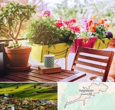گیاه آپارتمانی در کلاردشت