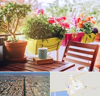 گیاه آپارتمانی در بندر ماهشهر