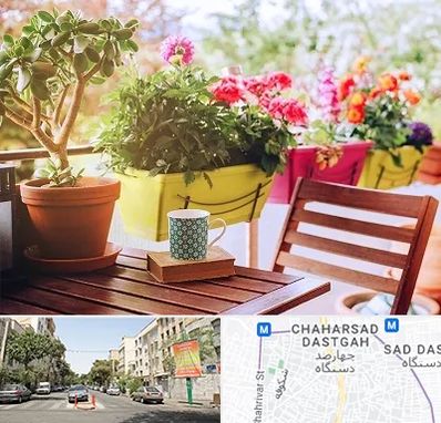 گیاه آپارتمانی در چهارصد دستگاه 