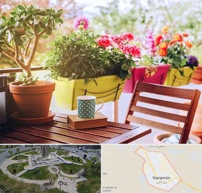 گیاه آپارتمانی در ورامین