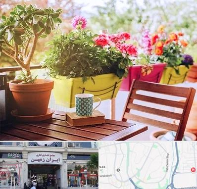 گیاه آپارتمانی در ایران زمین