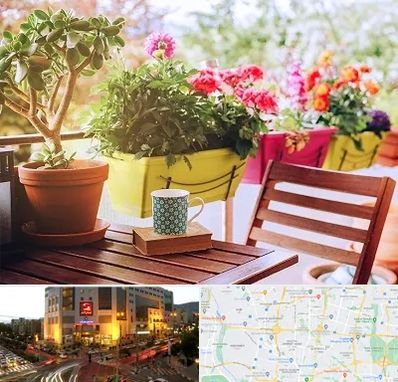 گیاه آپارتمانی در جنت آباد تهران 