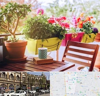 گیاه آپارتمانی در منطقه 11 تهران 