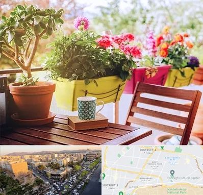 گیاه آپارتمانی در تهرانپارس 