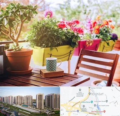 گیاه آپارتمانی در المپیک 