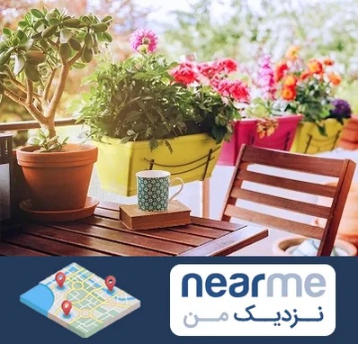 گیاه آپارتمانی در نزدیک من