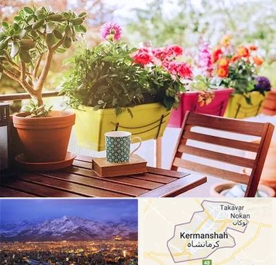 گیاه آپارتمانی در کرمانشاه