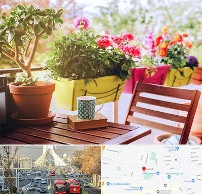 گیاه آپارتمانی در خیابان آزادی 