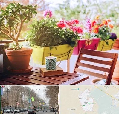 گیاه آپارتمانی در نظرآباد کرج 