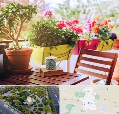 گیاه آپارتمانی در کاشمر