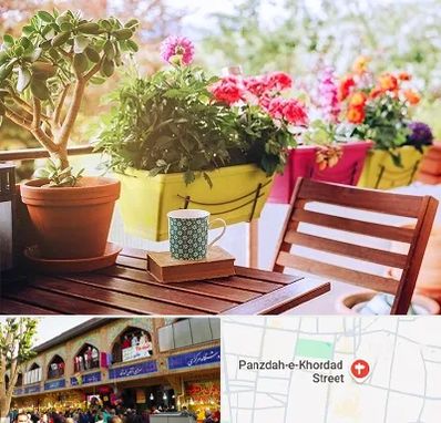 گیاه آپارتمانی در 15 خرداد