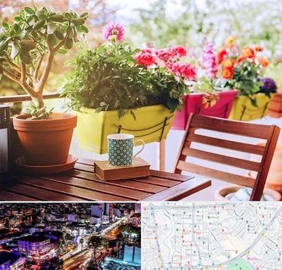 گیاه آپارتمانی در منظریه رشت