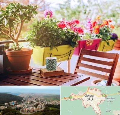 گیاه آپارتمانی در گرگان