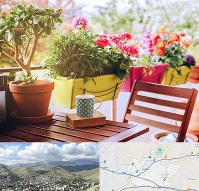 گیاه آپارتمانی در رودهن