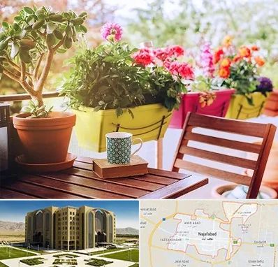 گیاه آپارتمانی در نجف آباد