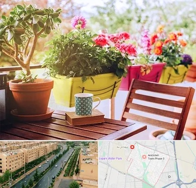 گیاه آپارتمانی در فاز سه اندیشه