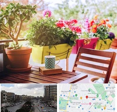 گیاه آپارتمانی در بلوار فردوسی مشهد 