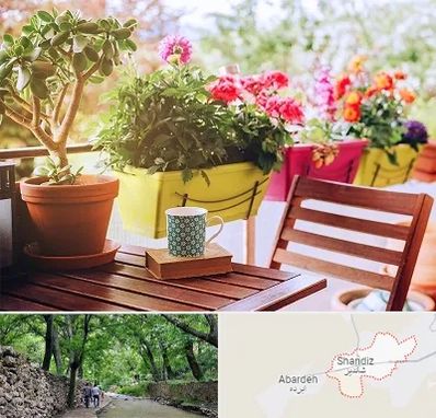 گیاه آپارتمانی در شاندیز مشهد