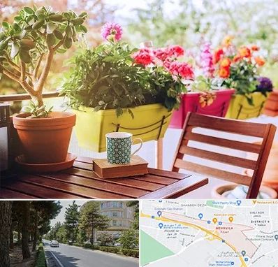 گیاه آپارتمانی در مهرویلا کرج