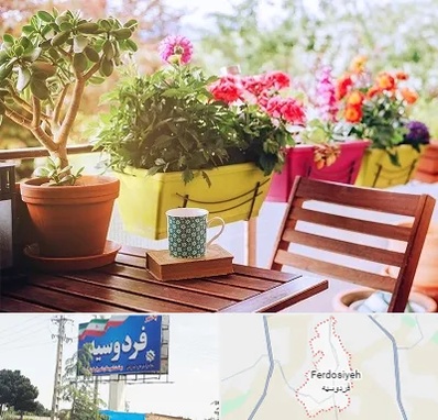 گیاه آپارتمانی در فردوسیه شهریار