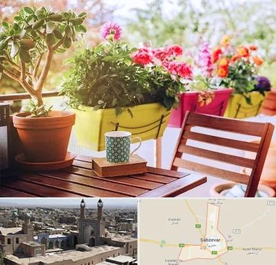 گیاه آپارتمانی در سبزوار