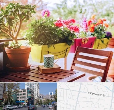 گیاه آپارتمانی در کامرانیه
