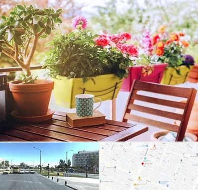 گیاه آپارتمانی در بلوار کلاهدوز مشهد 